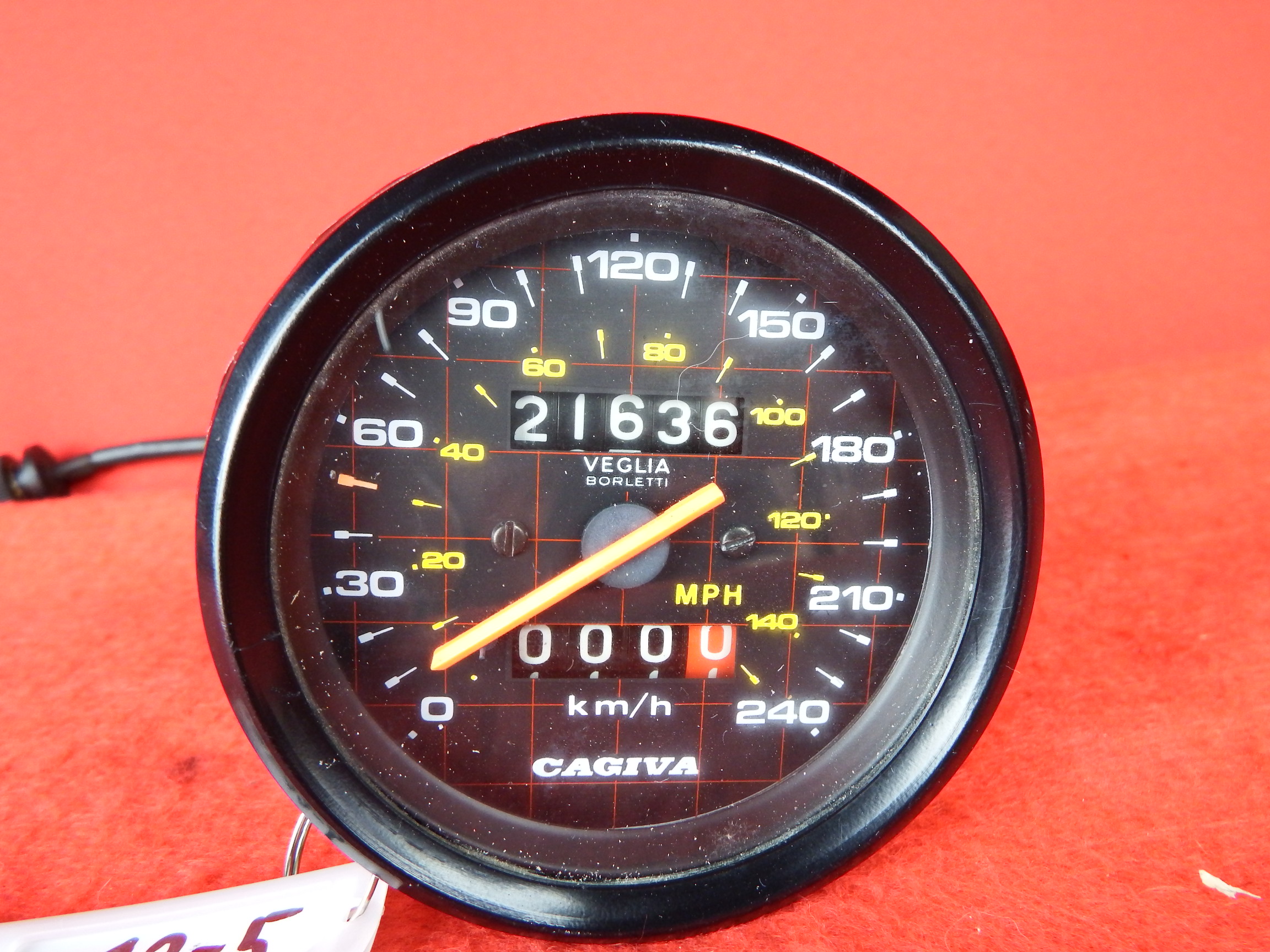 DSCF3554.JPG