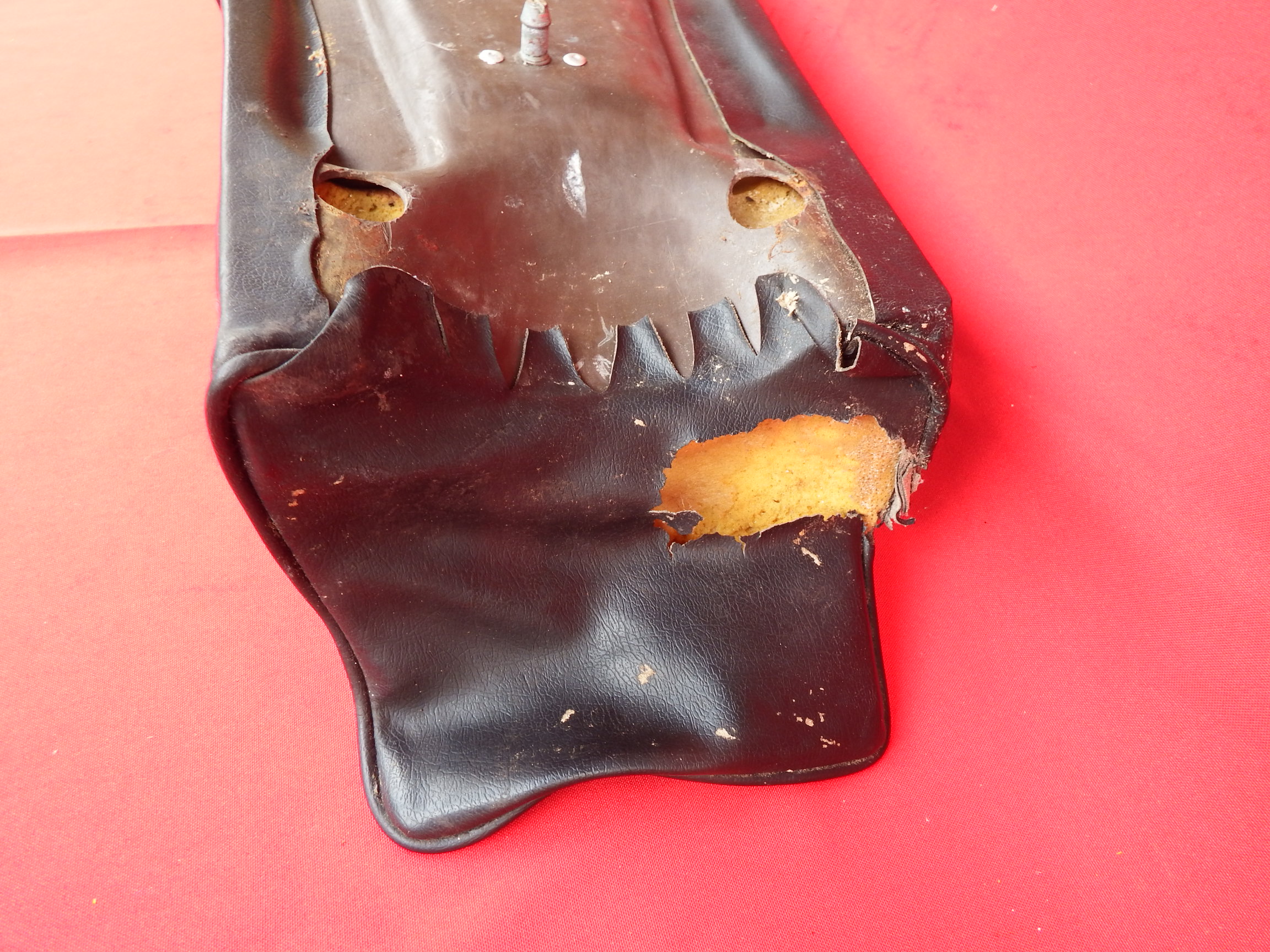 DSCF3097.JPG