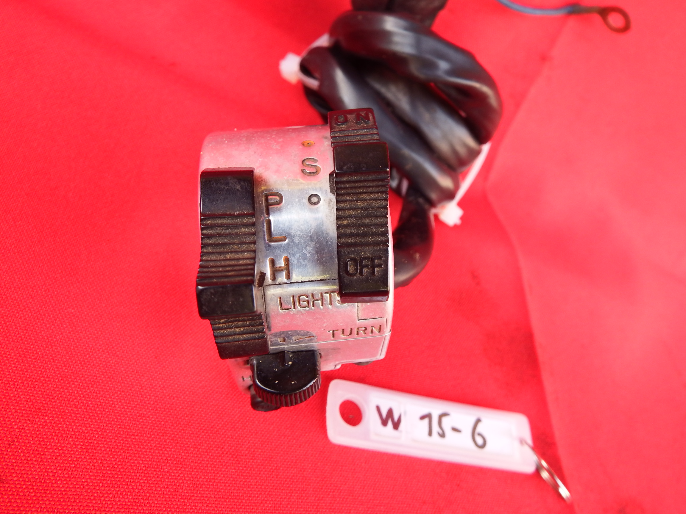DSCF3173.JPG