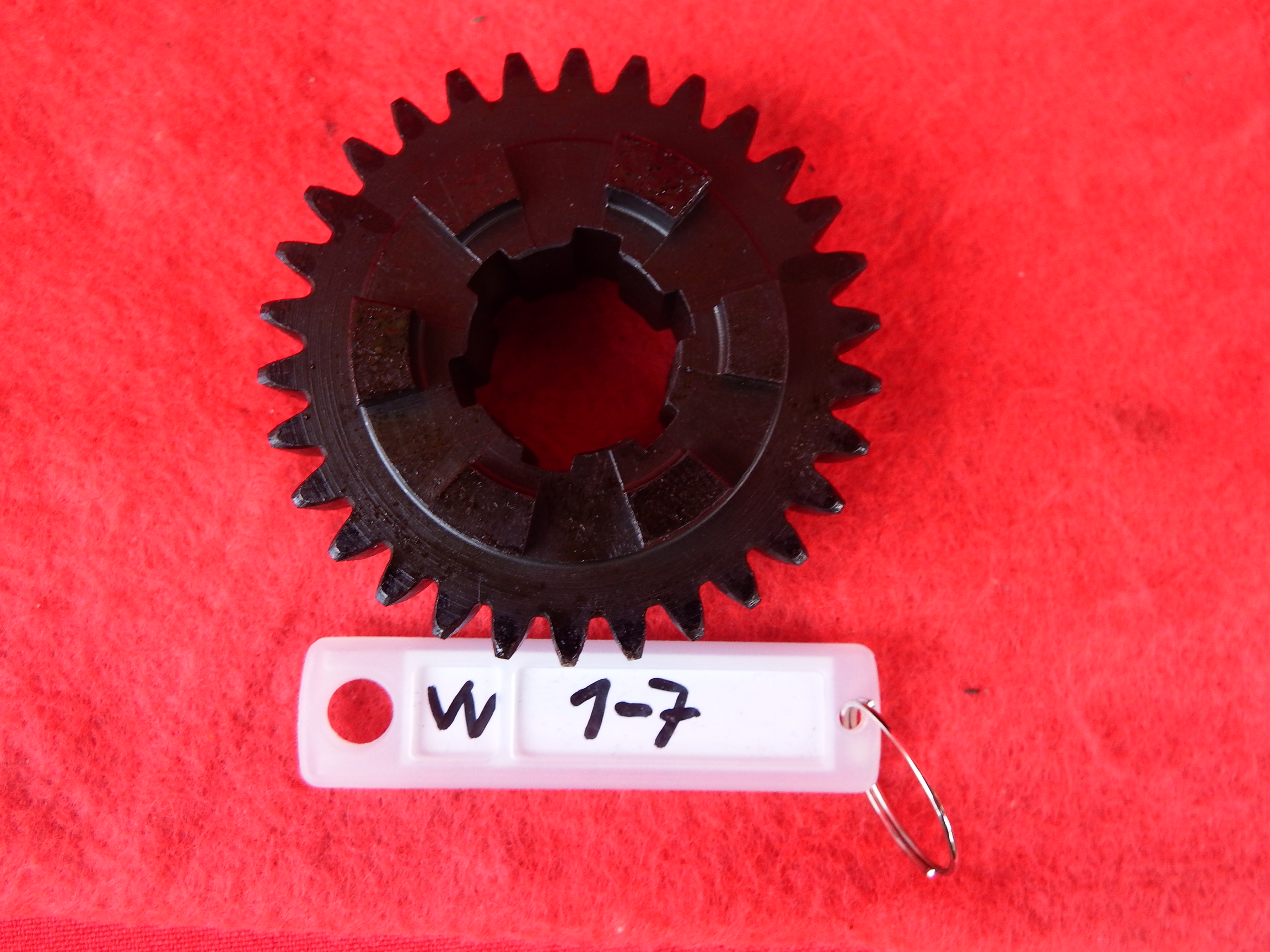 DSCF2148.JPG
