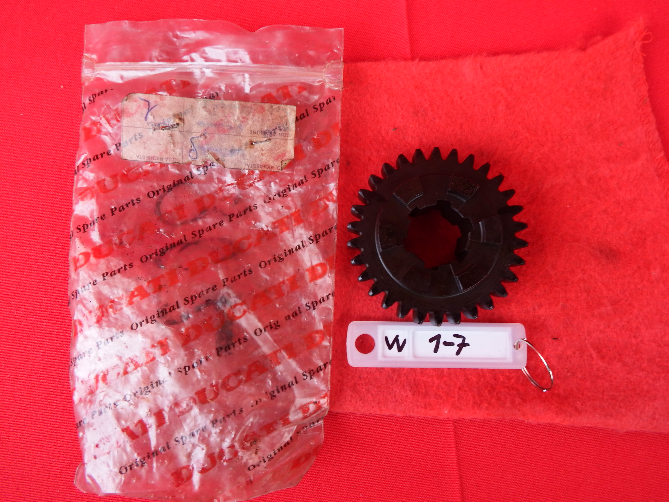 DSCF2150.JPG